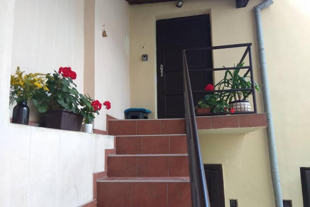 Apartman V Centru Όλομουτς Εξωτερικό φωτογραφία